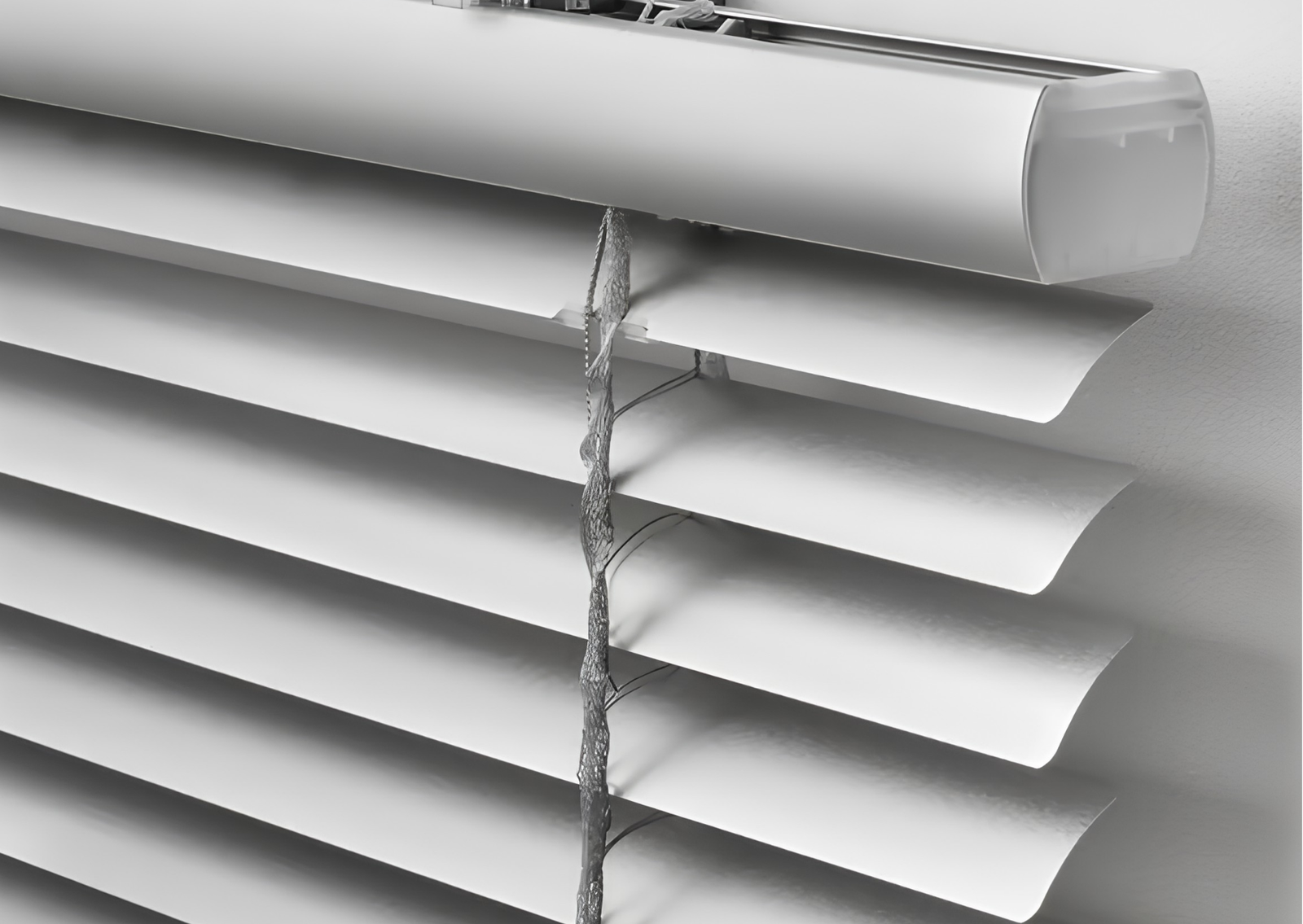 Venetian Blinds (2)